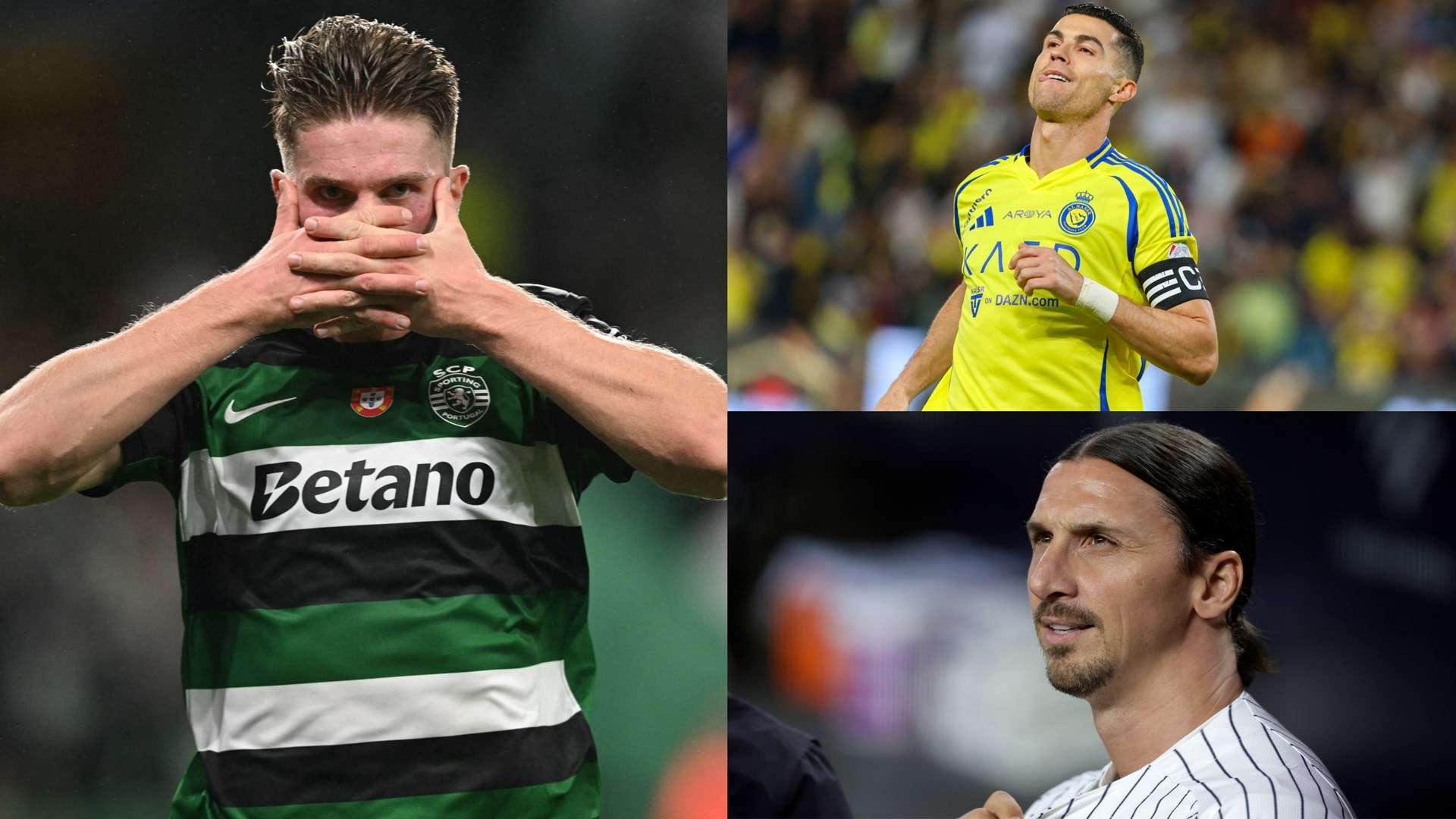 不会过分依 不会过分依