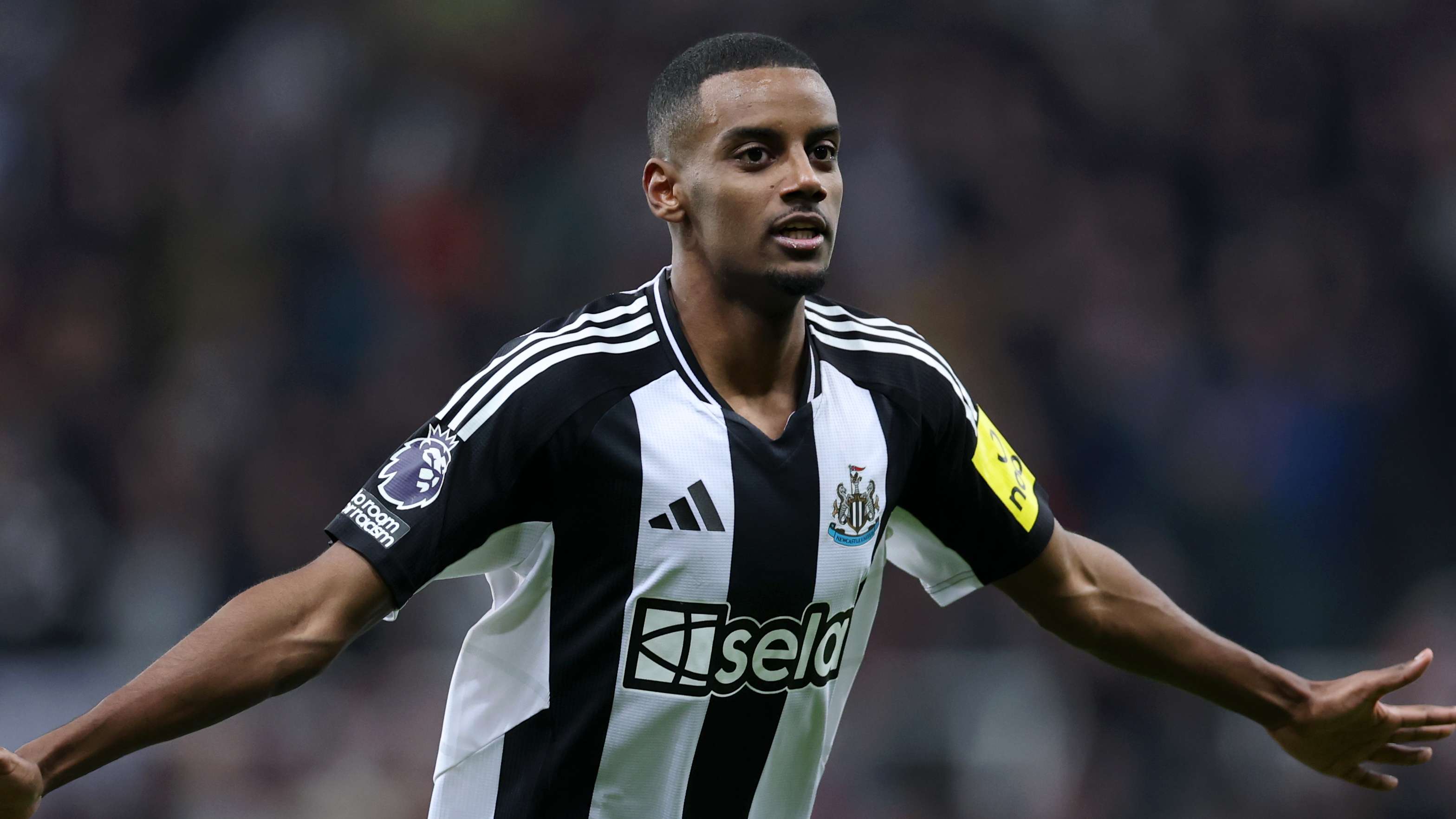 他們不僅期 他們不僅期